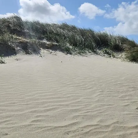 6 Person In Fanø